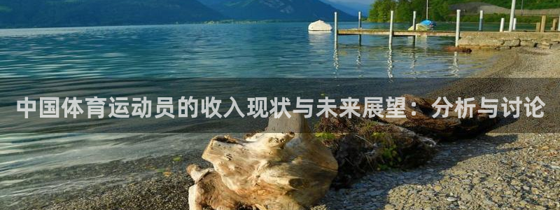 球迷体育：中国体育运动员的收入现状与未来展望：分析与讨论