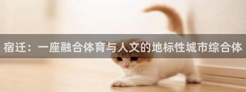 球迷体育足球篮球直播
