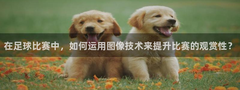球迷体育看直播收费吗