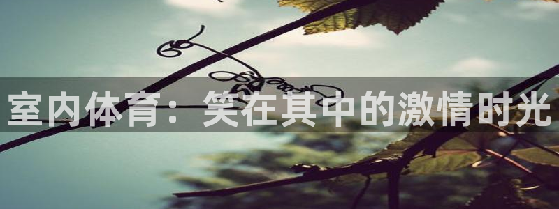球迷体育蓓蓓